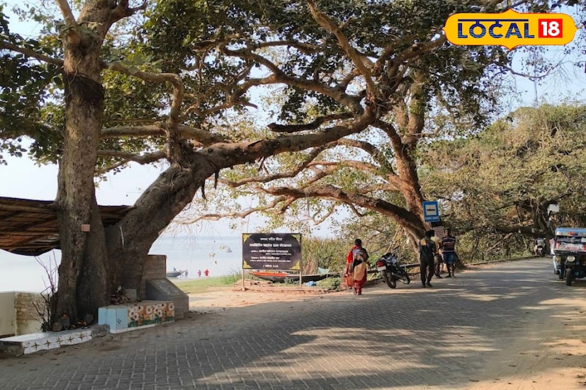 বর্তমানে ফলতাতে গেলে রাস্তার পাশ থেকেই দেখা যায় বোস ইন্সটিটিউটকে। তবে এখানে প্রবেশের জন্য অনুমতি লাগে। তবেই প্রবেশ করতে পারবেন এখানে। তবে ৩০ শেষ নভেম্বর কোনোও বাধা থাকেনা।