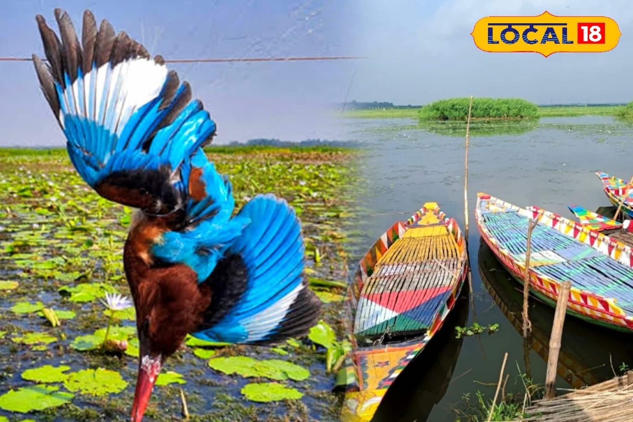 North 24 Parganas News: বদলাচ্ছে সকলের প্রিয় বর্তির বিলের চেহারা! ওয়াচ টাওয়ার থেকেই দেখা যাবে পরিযায়ী পাখিদের, জানুন বিশদে