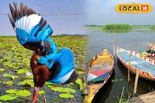 North 24 Parganas News: বদলাচ্ছে সকলের প্রিয় বর্তির বিলের চেহারা! ওয়াচ টাওয়ার থেকেই দেখা যাবে পরিযায়ী পাখিদের, জানুন বিশদে