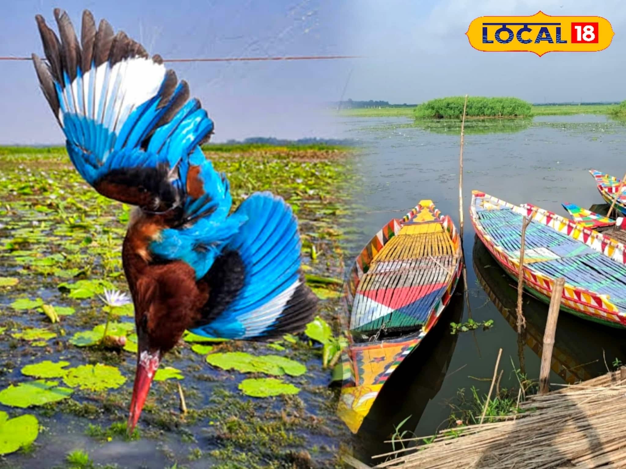 North 24 Parganas News: বদলাচ্ছে সকলের প্রিয় বর্তির বিলের চেহারা! ওয়াচ টাওয়ার থেকেই দেখা যাবে পরিযায়ী পাখিদের, জানুন বিশদে