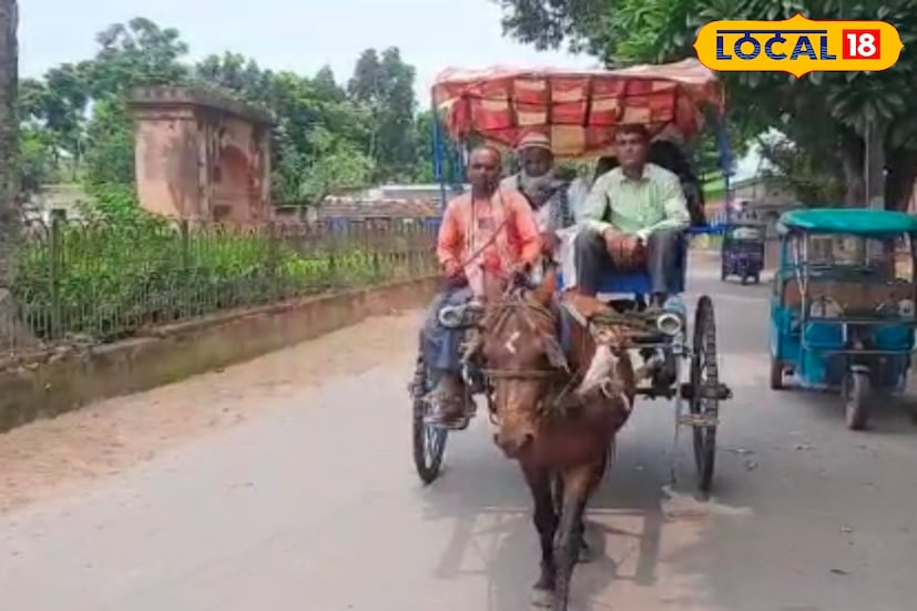 বাংলার ইতিহাসে মুর্শিদাবাদের গুরুত্ব অপরিসীম। একসময় ইস্ট ইন্ডিয়া কোম্পানির প্রশাসনিক কার্যালয় ছিল মুর্শিদাবাদ। তার আগে বাংলার নবাবদের অন্যতম পছন্দের জায়গা ছিল মুর্শিদাবাদ। আর সেই কারণেই তৎকালীন এই শহর গড়ে তোলা হয়েছিল নবাবি আদব-কায়দায়।