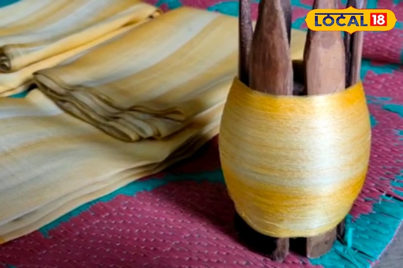 কৃষিকাজের পাশাপাশি নবাব আমলে উত্থান হওয়া মুর্শিদাবাদের অন্যতম আকর্ষণ এখানকার সিল্ক বা রেশমের বুনন। মুর্শিদাবাদের সিল্কের শাড়ি জগৎবিখ্যাত। এই জেলার অর্থনীতির অনেকটাই নির্ভর করে রয়েছে এই সিল্ক ইন্ডাস্ট্রির উপরেই। 