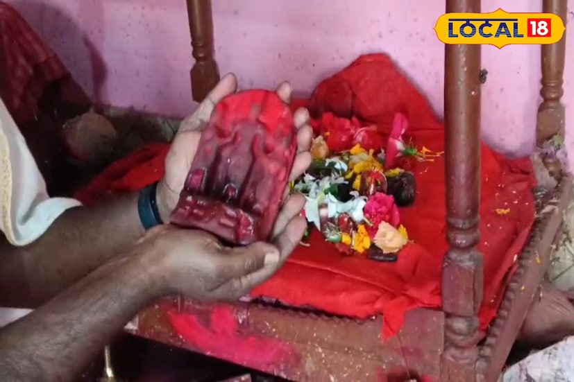 আজ থেকে প্রায় ৩০০ বছর আগে রায় বংশের এক পূর্ব পুরুষ দেবীর স্বপ্নাদেশ পান এবং পুকুর থেকে উদ্ধার করেন দেবীর শিলা মূর্তি।তারপর স্বপ্নাদেশে দেবী জানান, তিনি মা শীতলা তাকে মৃন্ময়ী মূর্তিতে জগদ্ধাত্রী রূপে পুজো করার কথা এবং প্রতি ১২ বছর অন্তর দেবী প্রতিমা বিসর্জন নির্দেশ দেন।