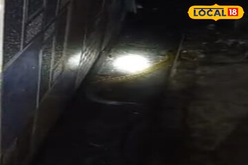 শীতঘুমে যাওয়ার আগে বাংলার সবথেকে বিষধর সাপের 'ইচ্ছে' পূরণ হল না!