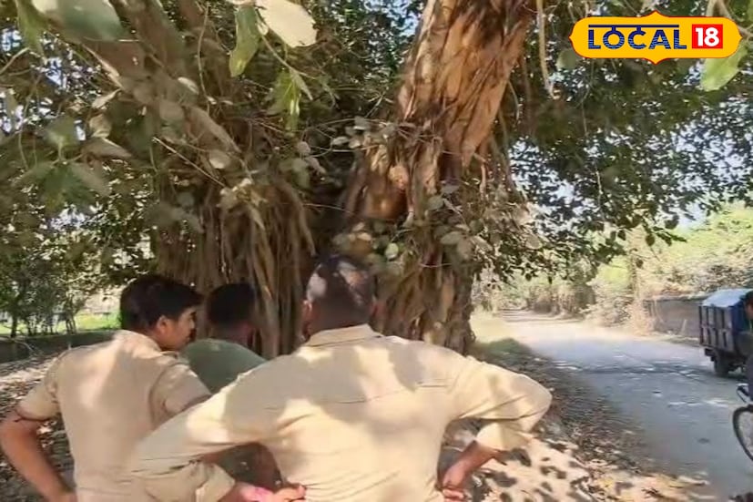 স্থানীয় পৌর নাগরিকরা জানিয়েছেন, উত্তরপাড়ায় যেভাবে দিনের আলোয় গাছ কাটা পড়ছে সেই প্রতিবাদে এই মহিলা সটান গাছে উঠে পড়েছেন । আর কেউ আবার বলছেন SIR ফর্ম ফিলাপ হয়নি সেই আতঙ্কে।