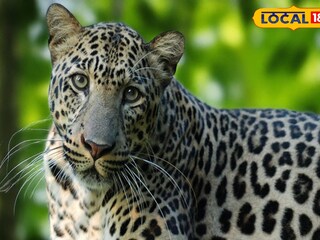 প্রতীকী ছবি