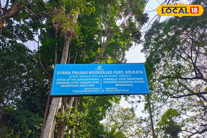 একসময় বড় বড় বাণিজ্যিক জাহাজ কলকাতা অভিমুখে যাতায়াতের পথে এখানেই নোঙর ফেলত। সেই সব জাহাজের নাবিকেরা নবদ্বীপ শহরে নেমে বাজারে কেনাকাটা করতেন, স্থানীয়দের সঙ্গে গড়ে উঠত বাণিজ্যিক ও সাংস্কৃতিক যোগাযোগ। গঙ্গার পারে দাঁড়িয়ে থাকা এই পোর্ট তাই দীর্ঘদিন ধরে নদিয়ার বাণিজ্য-ঐতিহ্যের নীরব সাক্ষী।