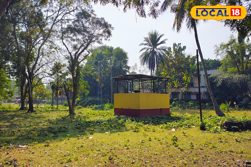 এই পোর্ট এলাকার অন্যতম বৈশিষ্ট্য তার প্রাকৃতিক সৌন্দর্য। চারদিক জুড়ে বিশাল সব গাছের সারি পুরো এলাকা ঢেকে রেখেছে সবুজে। একের পর এক গ্রাম ও মফস্বল এলাকা যখন দ্রুত শহুরে রূপ নিচ্ছে, গাছ কেটে তৈরি হচ্ছে ইমারত, সেই প্রেক্ষাপটে নবদ্বীপের এই পোর্ট এখনো স্বমহিমায় দাঁড়িয়ে থাকা এক অন্যরকম শান্ত পরিবেশের ঠিকানা। 