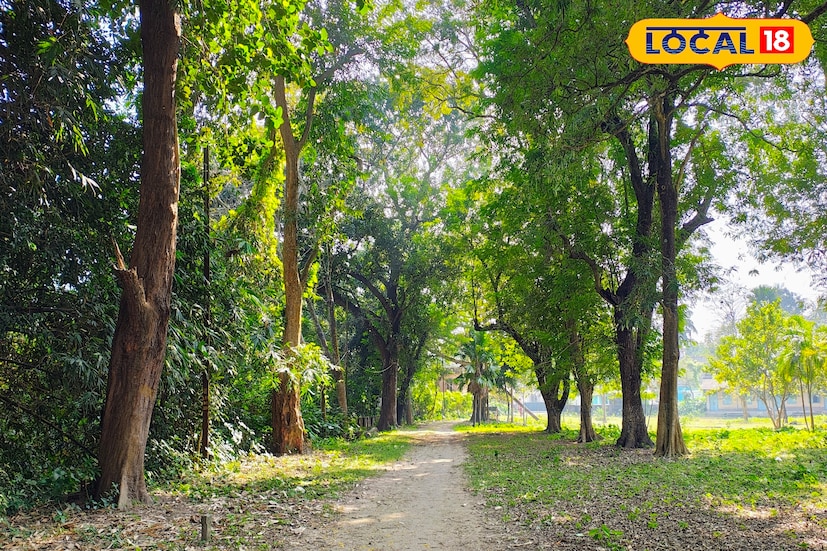 নবদ্বীপের এই ছোট পোর্ট তাই শুধু একটি প্রশাসনিক বন্দর নয় এটি একদিকে ইতিহাসের স্মারক, অন্যদিকে আধুনিকতার মাঝেও টিকে থাকা নদিয়ার এক নীরব, মনোরম সবুজ আশ্রয়।