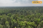হুরহুড়িয়ার জঙ্গল যেন 'স্বর্গ'...! চন্দ্রকোনার এই জায়গাটি চেনেন? শীতে মিস করলে আফসোস করবেন
