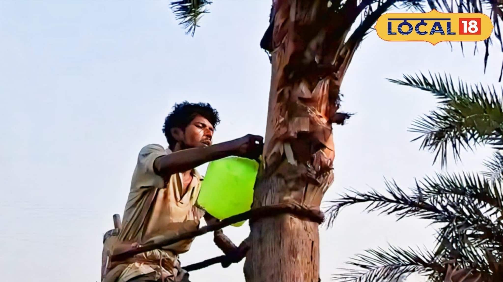 সকলের প্রিয় নলেন গুড়েই বাসা বাঁধছে মারণ রোগ! হারাচ্ছে স্বাদ ও সুবাস