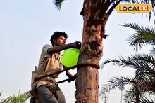 Nolen Gur: সকলের প্রিয় নলেন গুড়েই বাসা বাঁধছে মারণ রোগ! হারাচ্ছে স্বাদ ও সুবাস, কেন? কারণ জানাচ্ছেন বিশেষজ্ঞরা