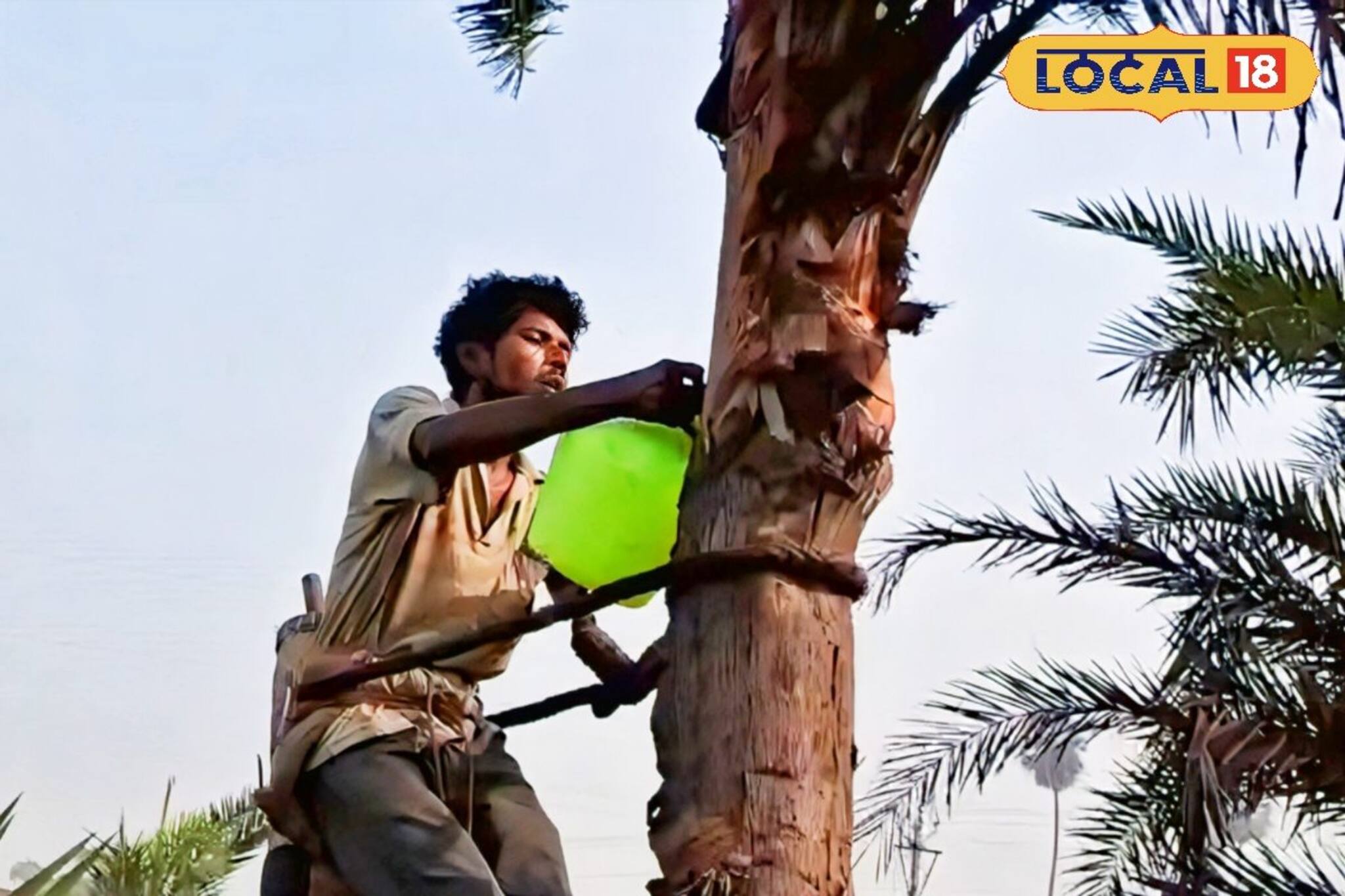 সকলের প্রিয় নলেন গুড়েই বাসা বাঁধছে মারণ রোগ! হারাচ্ছে স্বাদ ও সুবাস