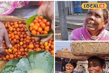 কাঁটাই তাদের কাছে ফুল! বৃদ্ধ বয়সেও হাসিমুখে জীবনযুদ্ধ চালিয়ে যাচ্ছেন এই তিন যোদ্ধা 