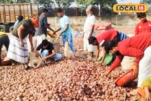 Onion Price: ৩০-৪০ নয়, মাত্র ২ টাকায় মিলছে পেঁয়াজ, সকাল থেকে ক্রেতাদের উপচে পড়া ভিড় মালদহে