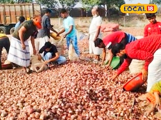 ৩০-৪০ নয়, মাত্র ২ টাকায় মিলছে পেঁয়াজ, সকাল থেকে ক্রেতাদের উপচে পড়া ভিড় মালদহে