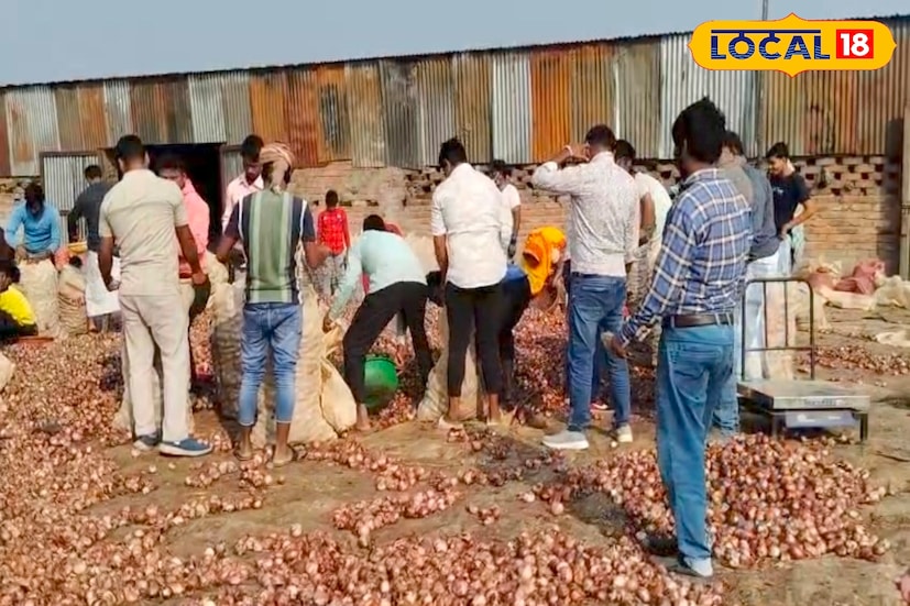  এলাকাতেই খোলা বাজারে ২ টাকা থেকে ১০ টাকা কেজি দরে বিক্রি হচ্ছে পেঁয়াজ। ৫০ কেজির একটি পেঁয়াজের বস্তা ১০০ টাকায় বিক্রি করছেন ব্যবসায়ীরা। এক ব্যবসায়ী সাজিরুল শেখ জানান, 