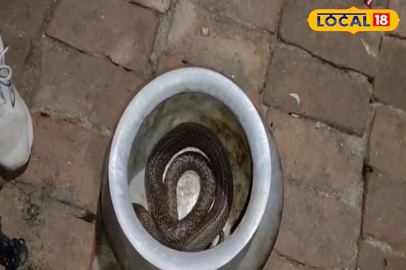 হাঁড়িটি বার করার মুহূর্তেই বুঝতে পারেন, ভিতরে কিছু নড়াচড়া হচ্ছে। ভয় পেয়ে তিনি হাঁড়িটি ছুঁড়ে ফেলে ঘর থেকে দৌড়ে বেরিয়ে আসেন। দ্রুতই এলাকায় খবর ছড়িয়ে পড়েরান্নার হাঁড়ির ভেতর নাকি বিষধর সাপ!