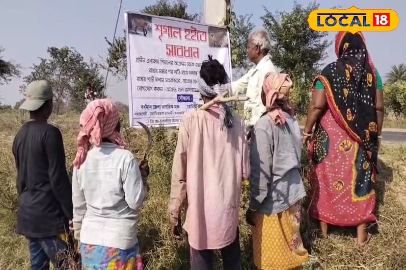 জোতিপ্রকাশ ব্যানার্জি বলেন, এই এলাকায় বেশ কিছুদিন ধরে ব্যাপকভাবে শিয়ালের উপদ্রব বেড়েছে। ফসলের মধ্যে শিয়াল লুকিয়ে থাকছে। চাষীরা ও ক্ষেতমজুররা ধান কাটতে গেলে তাদের উপর অনেক সময় আক্রমণ করছে শিয়াল। তাই বর্ধমান জেলা নাগরিক মঞ্চ ও বর্ধমান রোটারি ক্লাবের পক্ষ থেকে গ্রাম জুড়ে পোস্টারিং করা হল। (ছবি ও তথ্য: সায়নী সরকার)