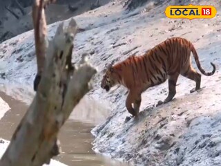 প্রতিকী ছবি