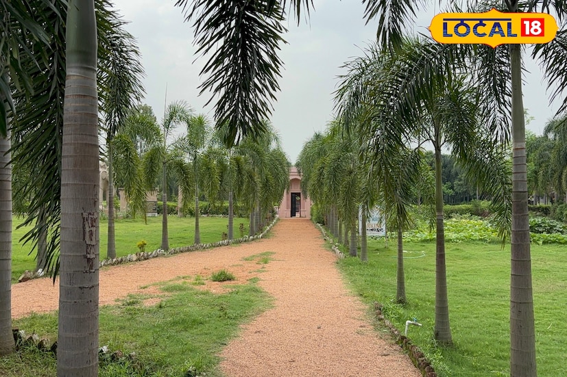 কলকাতা থেকে মাত্র প্রায় ১৩৬ কিমি দূরে অবস্থিত এই মনোরম জলটুঙ্গি। পূর্ব বর্ধমানের গুসকরা শহর থেকে খুব সহজেই পৌঁছে যাওয়া যায়। রুম বুকিংয়ের জন্য যোগাযোগ করতে হবে এই নম্বরে +919748411871। চাঁদনী জলটুঙ্গিকে কেন্দ্র করে আশেপাশের আরও কয়েকটি জায়গা ঘুরে দেখা যায় গুসকরা এয়ারফিল্ড, ডোকরা গ্রাম, কালিকাপুর রাজবাড়ি, ভালকী মাচান প্রভৃতি।তথ্য ও ছবি: বনোয়ারীলাল চৌধুরী