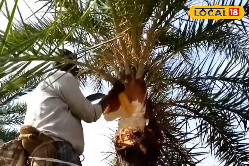 এই বিশেষ মিষ্টি তৈরির প্রক্রিয়া যথেষ্ট যত্নসাধ্য। প্রথমে বড় থালায় ছানা, খাঁটি নলেন গুড় এবং এলাচ গুঁড়ো একসঙ্গে মেখে তৈরি করা হয় নরম মিশ্রণ। এরপর কড়াইতে কম আঁচে ধীরে ধীরে সেই ছানা পাক দিয়ে বানানো হয় নরম সন্দেশ। ঠান্ডা হলে মিশ্রণটি ছোট ছোট বলের আকারে গড়ানো হয়।