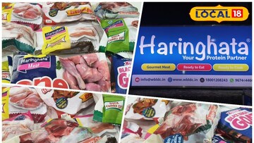 হরিণঘাটা মিট