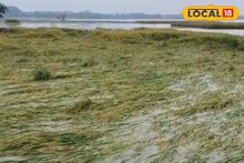 জলে ডুবেছে কৃষিজমি, ভেঙে পড়েছে বাড়ি! অতিবৃষ্টিতে মুর্শিদাবাদে ব্যাপক ক্ষতি