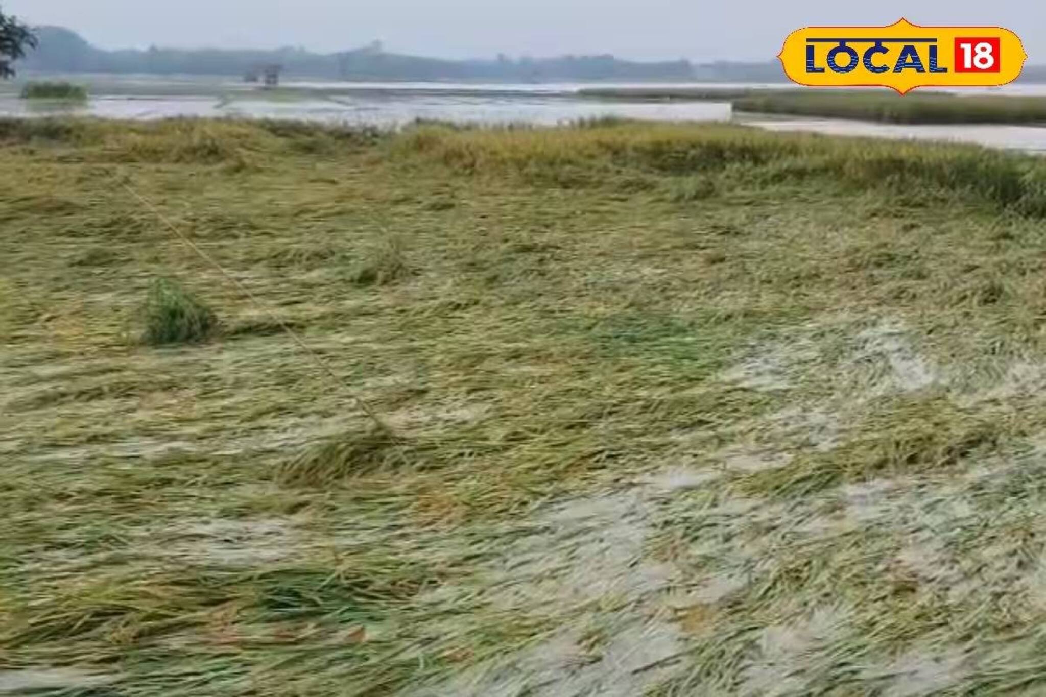 Murshidabad News: জলে ডুবেছে কৃষিজমি, ভেঙে পড়েছে বাড়ি! অতিবৃষ্টিতে মুর্শিদাবাদে ব্যাপক ক্ষতি, ছবিতে দেখুন সেখানকার অবস্থা