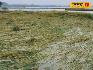 জলে ডুবেছে কৃষিজমি, ভেঙে পড়েছে বাড়ি! অতিবৃষ্টিতে মুর্শিদাবাদে ব্যাপক ক্ষতি