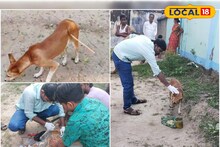 তিরবিদ্ধ অবস্থায় রাস্তায় ঘুরছিল অবলা সারমেয়! ধন্বন্তরি হয়ে এলেন বর্ধমানের যুবক