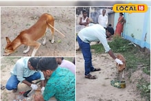 East Burdwan: তিরবিদ্ধ অবস্থায় রাস্তায় ঘুরছিল অবলা সারমেয়, চোখে-মুখে নিদারুণ যন্ত্রণা, প্রাণ বাঁচাতে ধন্বন্তরি হয়ে এলেন বর্ধমানের যুবক