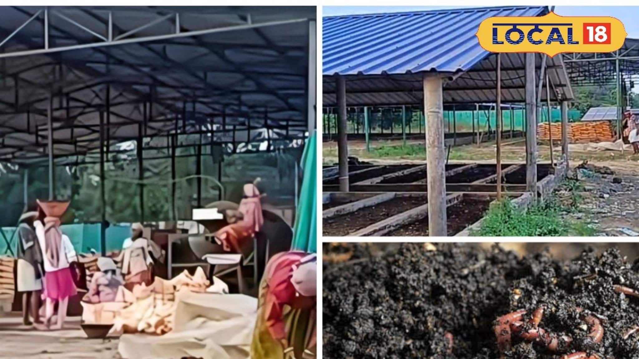 কোনও সাধারণ কেঁচো নয়, দুর্গাপুরে টন টন ভার্মিকম্পোস্ট তৈরি হচ্ছে বিশেষ প্রজাতির কেঁচো দিয়ে