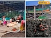 কোনও সাধারণ কেঁচো নয়, দুর্গাপুরে টন টন ভার্মিকম্পোস্ট তৈরি হচ্ছে বিশেষ প্রজাতির কেঁচো দিয়ে