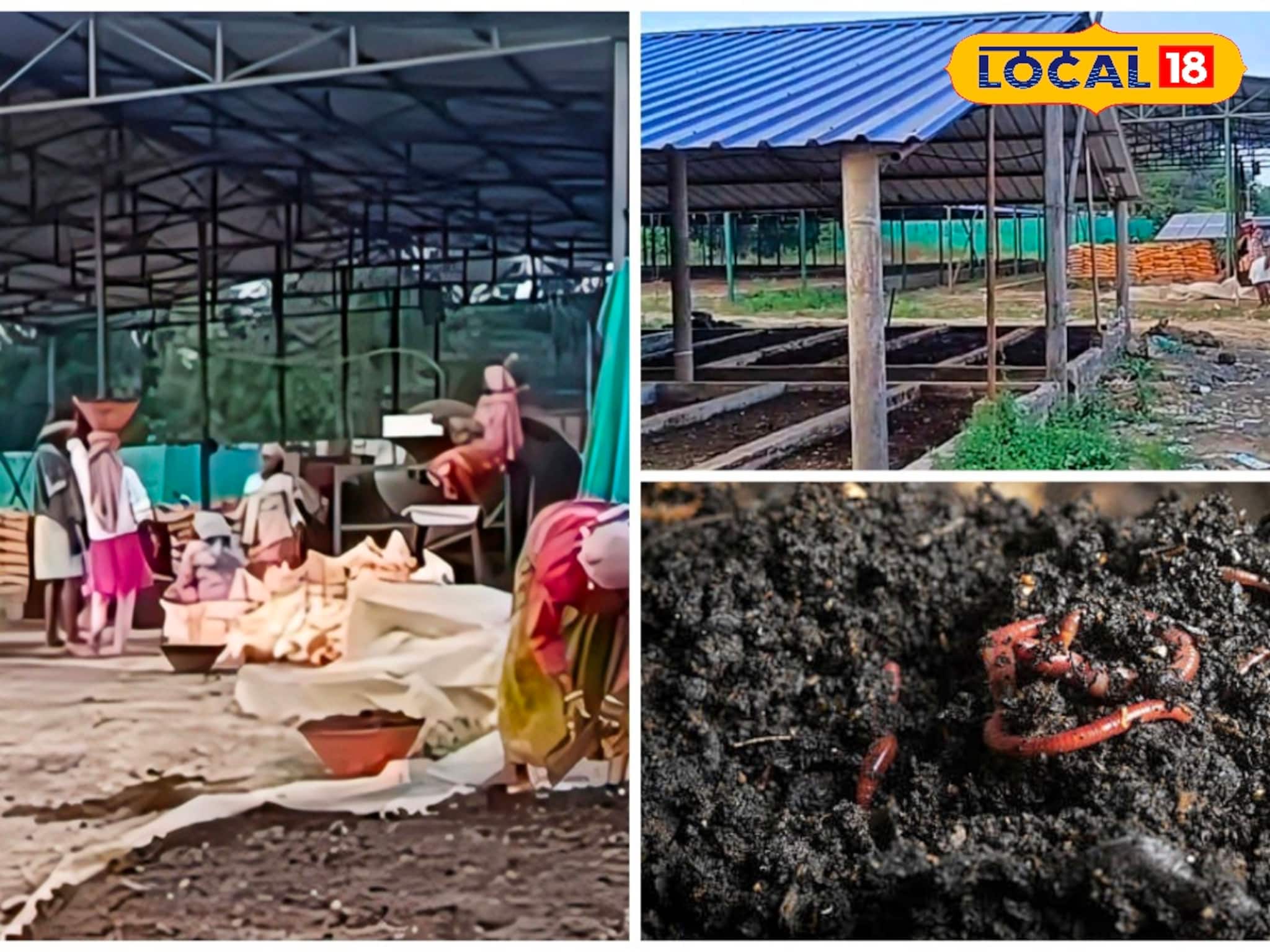 কোনও সাধারণ কেঁচো নয়, দুর্গাপুরে টন টন ভার্মিকম্পোস্ট তৈরি হচ্ছে বিশেষ প্রজাতির কেঁচো দিয়ে