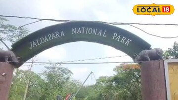 জলদাপাড়া