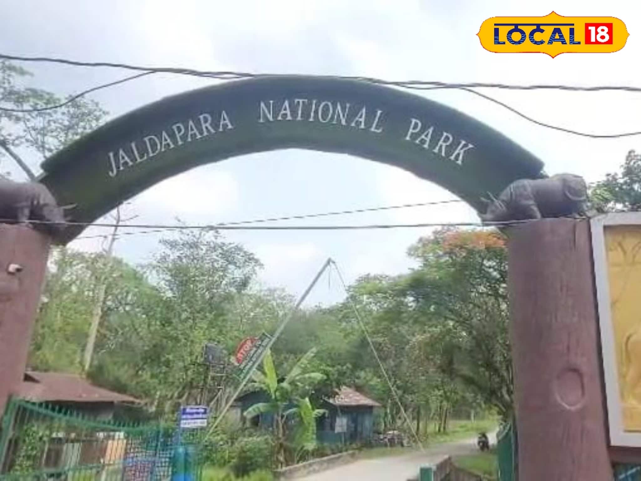 Alipurduar News: জলদাপাড়ায় যত্রতত্র আবর্জনা! জাতীয় উদ্যানের সৌন্দর্য ফেরাতে কোমর বেঁধেছে বন দফতর, চলছে প্লাস্টিকমুক্ত অভিযান