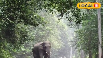 ডুয়ার্সের