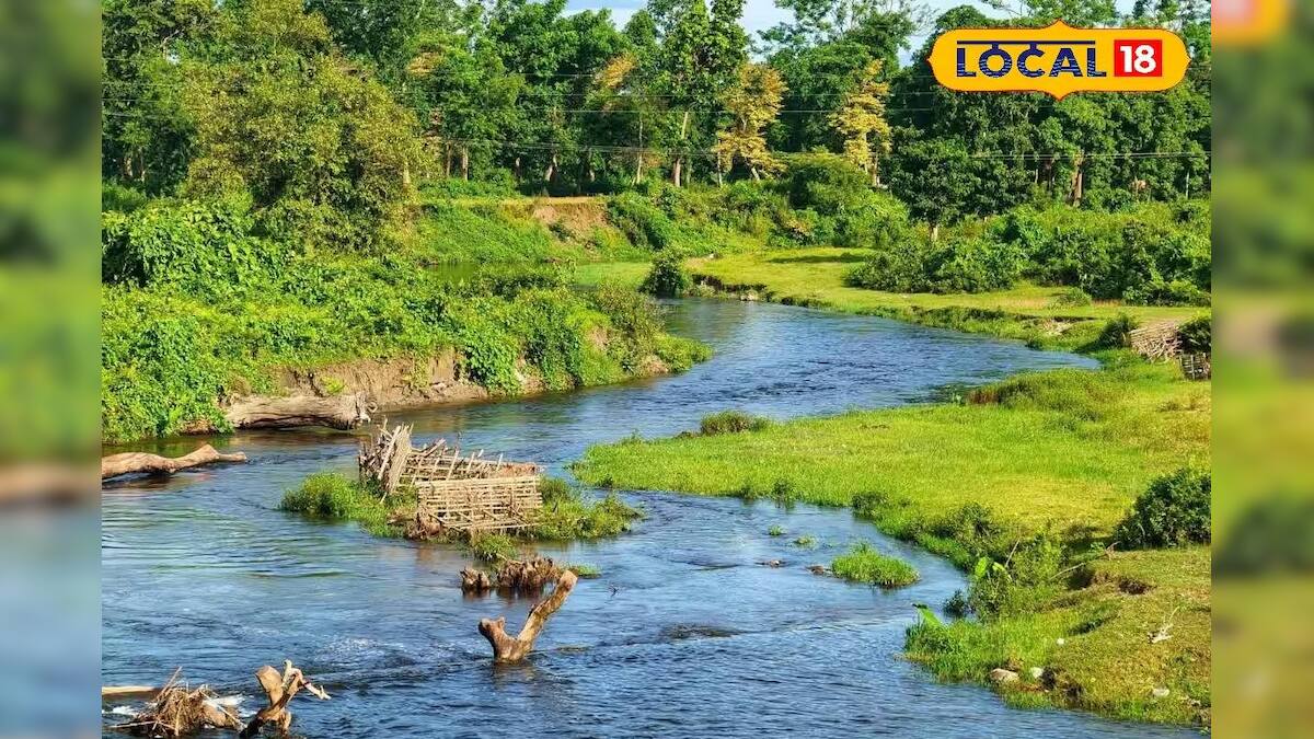 জলপাইগুড়ি নিউজ: পরিচিত দুয়ারের অপরিচিত রূপ! শীতের মৌসুমে শুনশান মূর্তি-গরু, সব জনপ্রিয় পর্যটন কেন্দ্র পর্যটক ছাড়া জনশূন্য