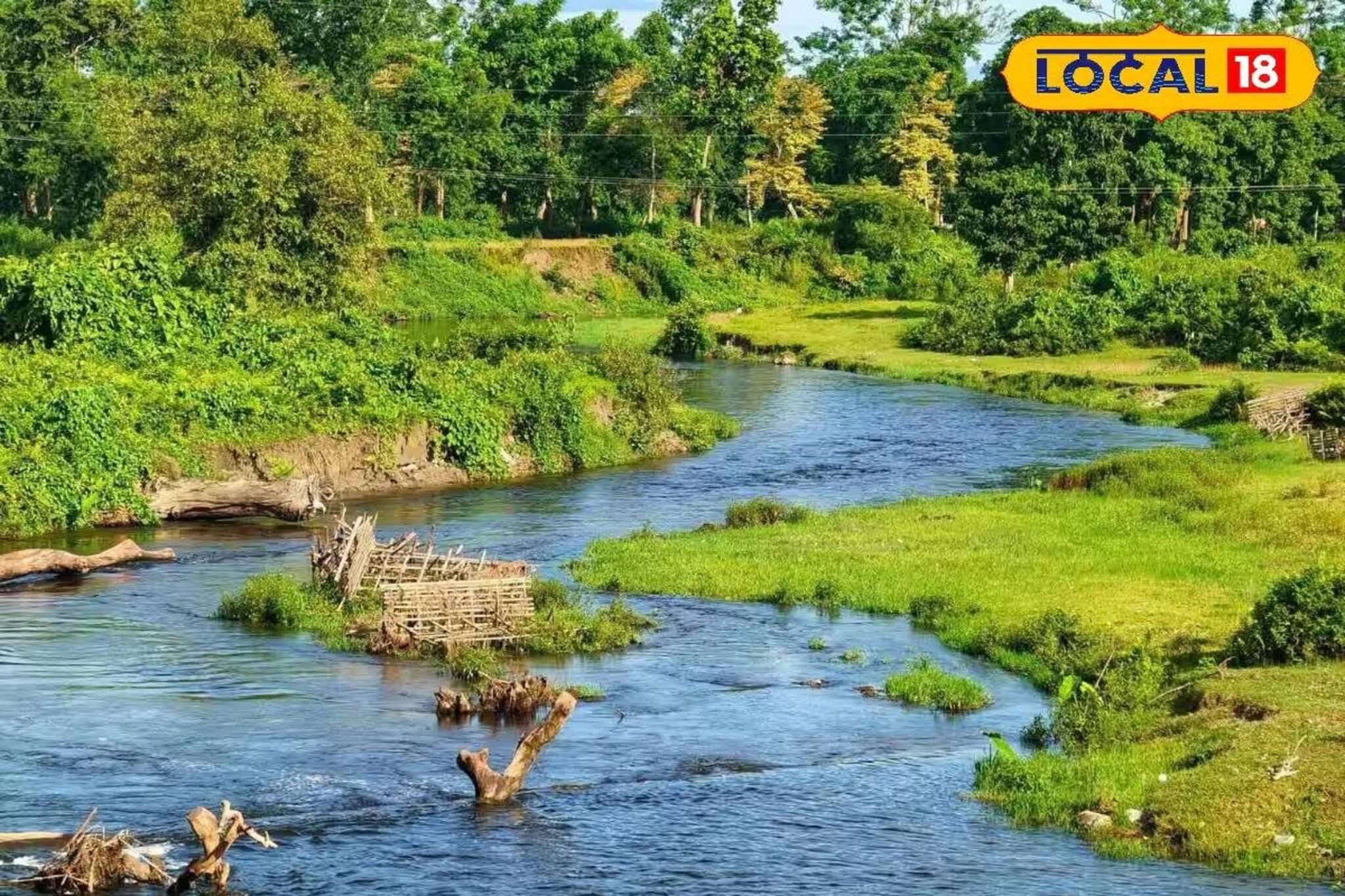 চেনা ডুয়ার্সের অচেনা রূপ! শীতের মরশুমে খাঁ খাঁ করছে মূর্তি-গরুমারা