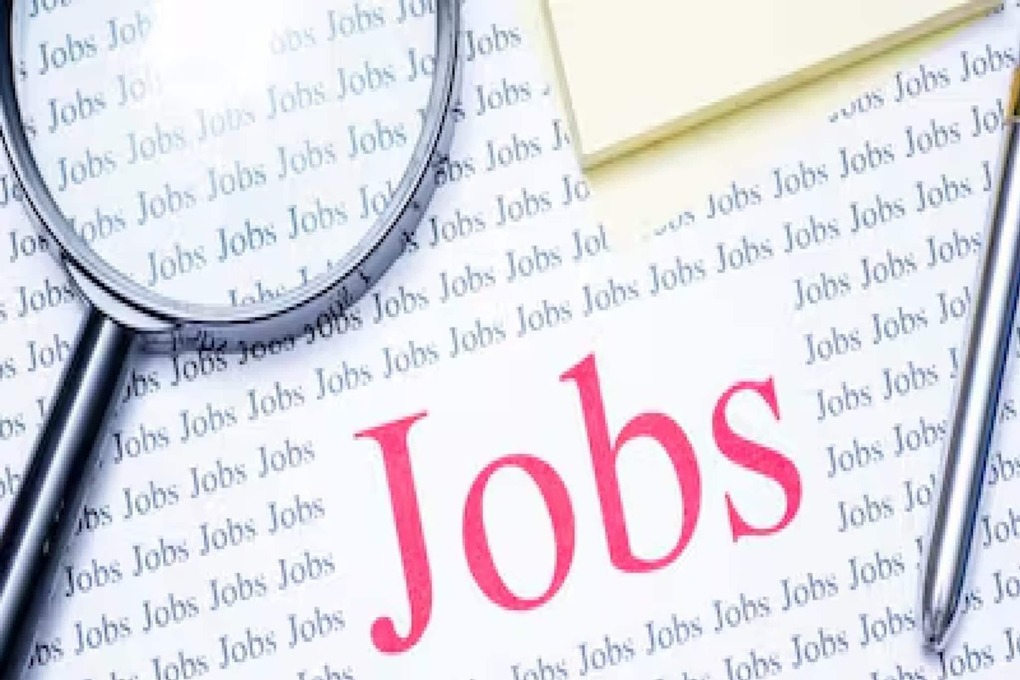 Job Vacancy: চাকরি খুঁজছেন, অষ্টম শ্রেণী পাস হলেই কেল্লাফতে, সরকারি অনুমোদিত কোর্স করেই ভ্যাকেন্সিতে নিয়োগ