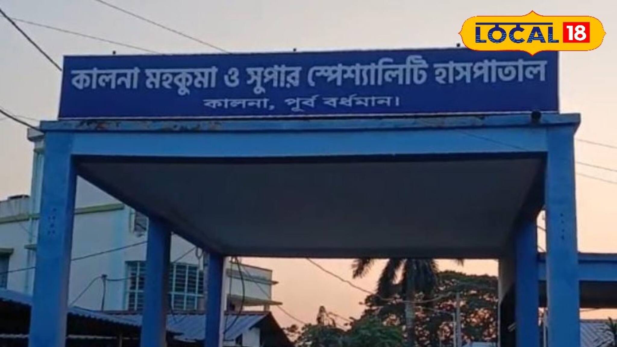 শিশু দিবসেই পথকুকুরের হামলায় গুরুতর জখম ৩ বছরের শিশু! কপাল থেকে খুবলে নিয়েছে মাংস