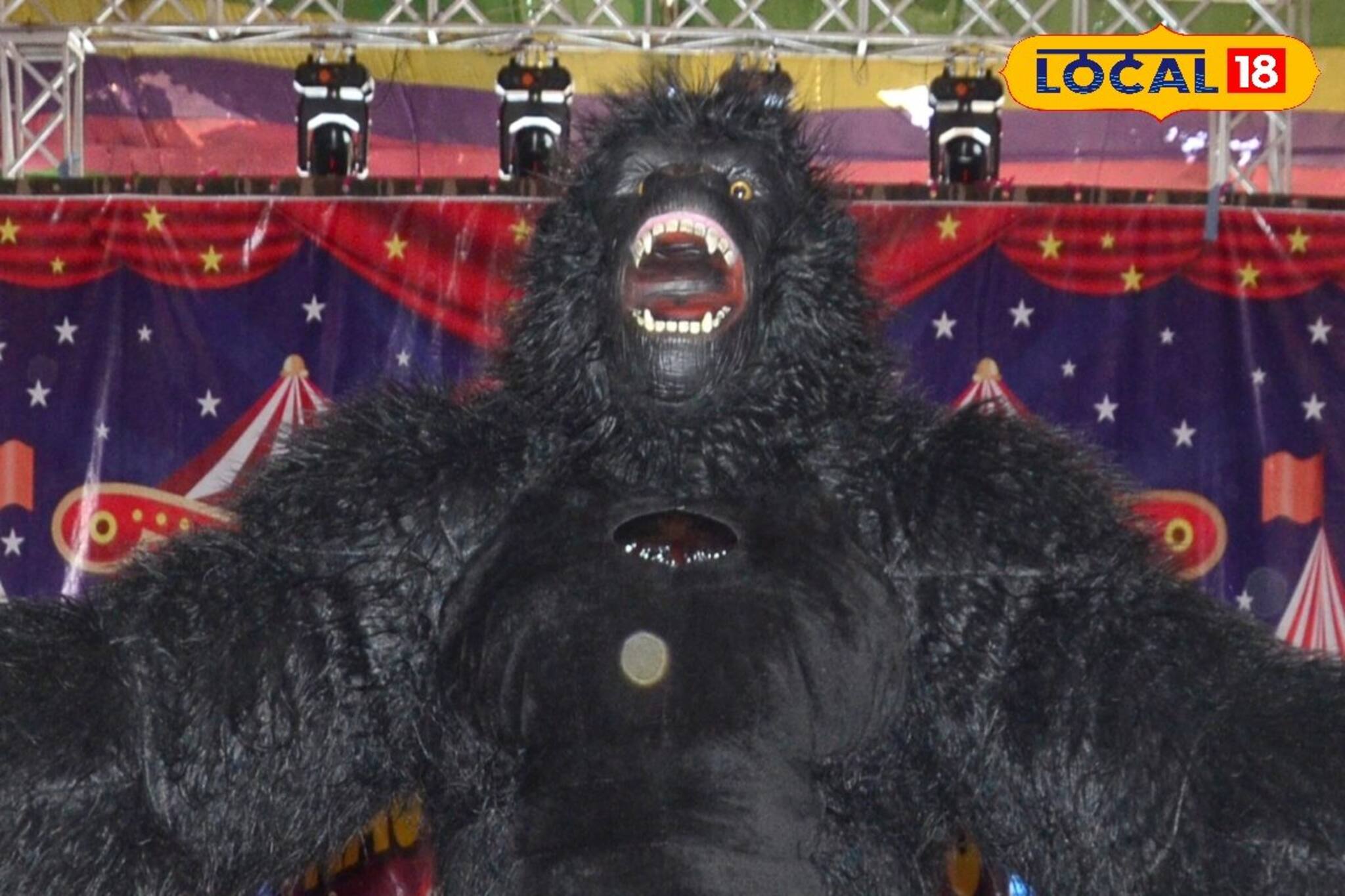 Circus: বারুইপুরে হাজির মস্ত কিংকং! সার্কাসে গোরিলার সঙ্গে সেলফি তোলার সে কী হিড়িক, রয়েছে রাশিয়ান দম্পতির চমক