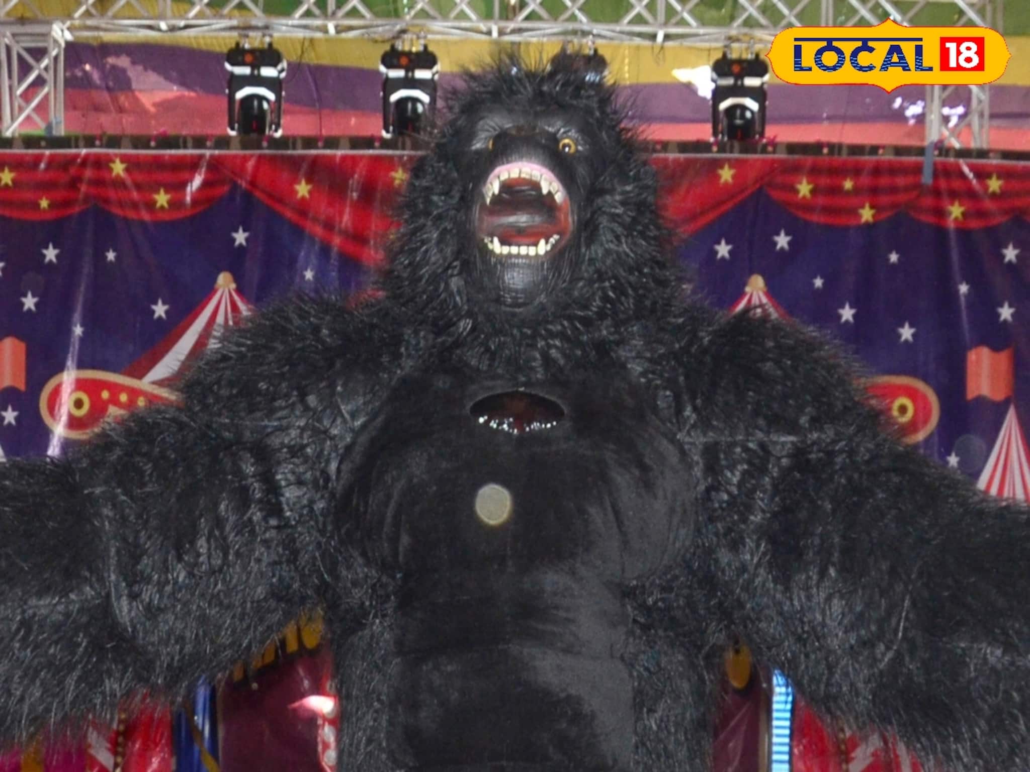 চমকে ঠাসা এবারের বারুইপুর সার্কাস! রাশিয়ান দম্পতির খেলা, হিন্দি গানে গোরিলার নাচ