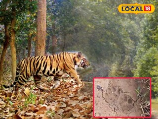 গড়বেতার জঙ্গলে অজানা জন্তুর পায়ের ছাপ উদ্ধার