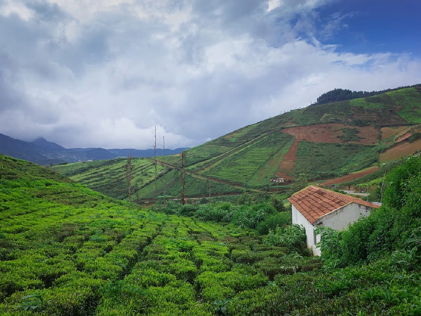 *সারা বছরের ক্যালেন্ডার থেকে স্পষ্ট ২০২৬ সালে প্রায় ১২ থেকে ১৪টি লং উইকেন্ড রয়েছে। আপনি যদি এখনই আপনার ছুটির পরিকল্পনা করেন, তাহলে বিমান এবং হোটেল বুকিং সস্তা হতে পারে। এছাড়াও, আপনি ভিড় এড়িয়ে আরামদায়ক ছুটি উপভোগ করতে পারবেন।