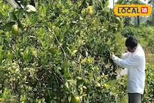 Business Idea: এগরার কৃষি বিশেষজ্ঞের দুর্দান্ত বিজনেস আইডিয়া! পতিত জমিতে চাষ করেও ২০ বছর ধরে মিলবে ফল, আয় হবে বাম্পার