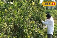 এগরার কৃষি বিশেষজ্ঞের দুর্দান্ত বিজনেস আইডিয়া! পতিত জমিতে চাষ করেও ২০ বছর ধরে মিলবে ফল