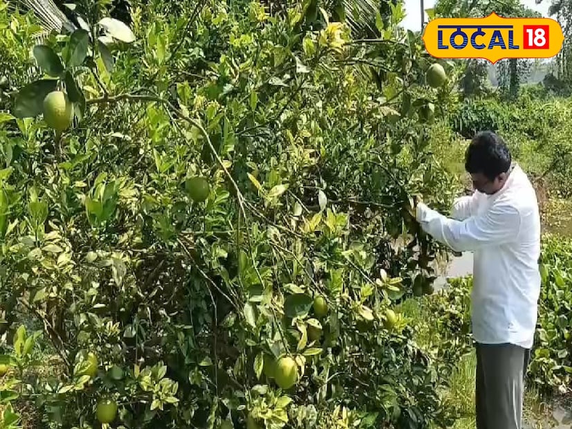 এলাকায় ঢুকতেই চোখে পড়ে রকি আইল্যান্ড পর্যটন কেন্দ্র। তার পাশেই রয়েছে এই খাসমহল গ্রাম। তার সামনে সারি সারি ঝুলে থাকা টাটকা কমলালেবু। দার্জিলিং বা ভুটানের কমলালেবু বাজারে জনপ্রিয় হলেও খাসমহলের কমলালেবুর স্বাদ আলাদা করে চেনা যায়।