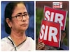 মঙ্গলবার থেকে বাড়ি বাড়ি গিয়ে SIR, তার আগে মন্ত্রীদের কোন জরুরি নির্দেশ দিলেন মমতা?